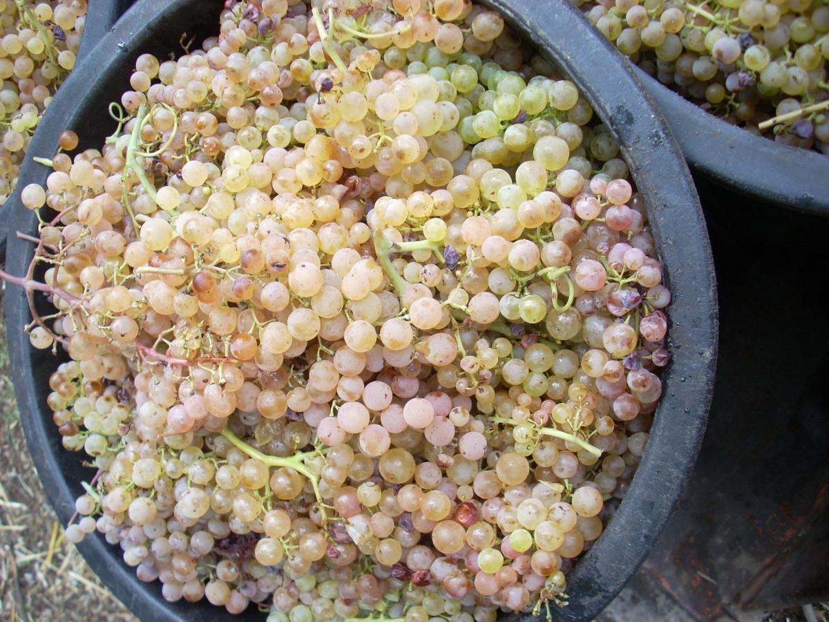 Agriturismo Le Roghete 아쿠아펜덴테 외부 사진