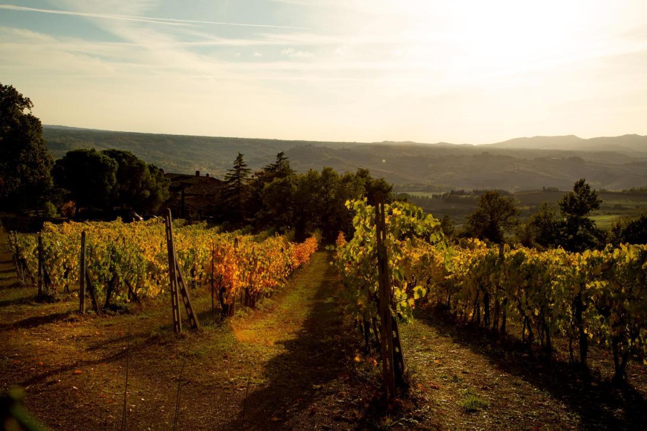 Agriturismo Le Roghete 아쿠아펜덴테 외부 사진