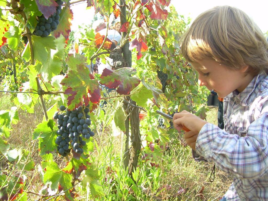 Agriturismo Le Roghete 아쿠아펜덴테 외부 사진
