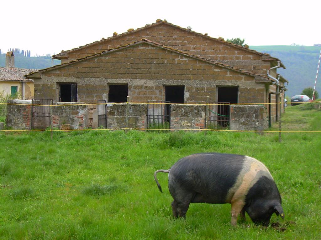 Agriturismo Le Roghete 아쿠아펜덴테 외부 사진