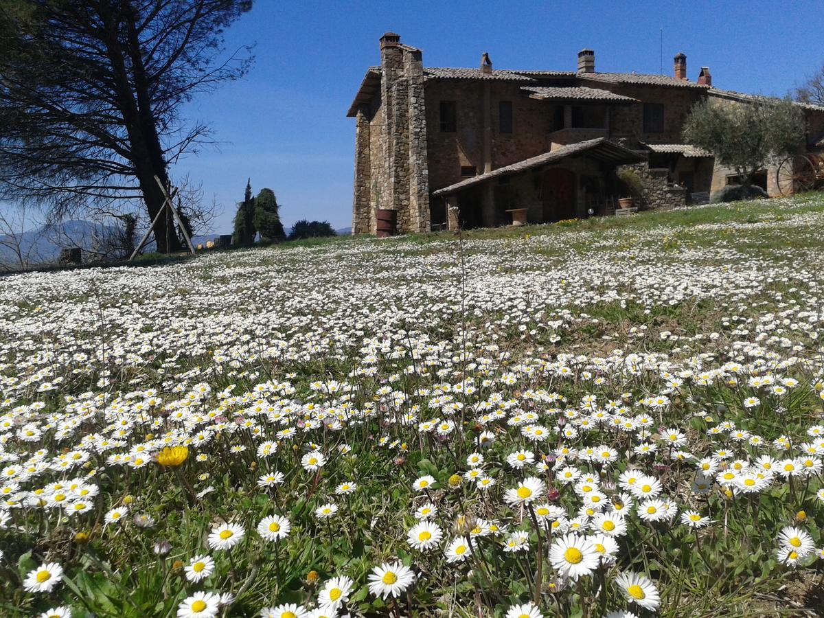 Agriturismo Le Roghete 아쿠아펜덴테 외부 사진