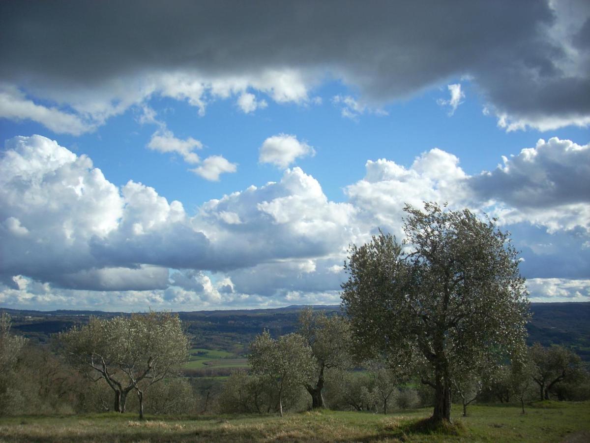 Agriturismo Le Roghete 아쿠아펜덴테 외부 사진